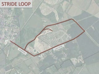 STRIDE LOOP
 