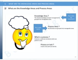 Project Management | PDF