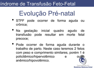 Síndrome de Transfusão Feto Fetal - Willian Eckert | PPTX