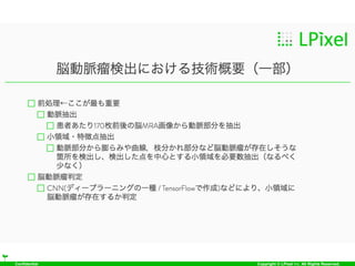 Confidential Copyright © LPixel Inc. All Rights Reserved.
 