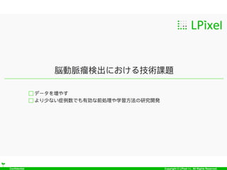 Confidential Copyright © LPixel Inc. All Rights Reserved.
 