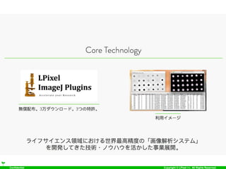 Confidential Copyright © LPixel Inc. All Rights Reserved.
 