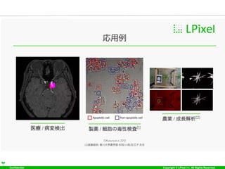 Confidential Copyright © LPixel Inc. All Rights Reserved.
 