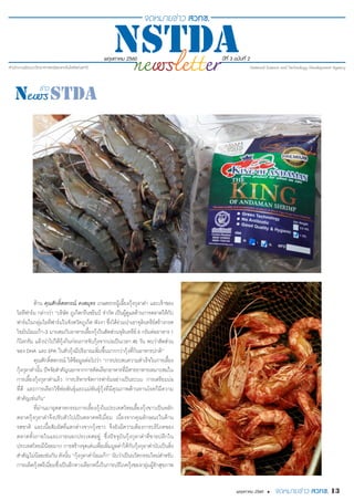 พฤษภาคม 2560 ปีที่ 3 ฉบับที่ 2
13พฤษภาคม 2560 •
ด้าน คุณศักดิ์สหกรณ์ คงสมุทร เกษตรกรผู้เลี้ยงกุ้งกุลาดำ� และเจ้าของ
ไอทีฟาร์ม กล่าวว่า “บริษัท ภูเก็ตกรีนชริมป์ จำ�กัด เป็นผู้ดูแลด้านการตลาดให้กับ
ฟาร์มในกลุ่มไอทีฟาร์มในจังหวัดภูเก็ต พังงา ซึ่งได้ร่วมนำ�เอาจุลินทรีย์สร้างกรด
ไขมันโอเมก้า-3 มาผสมกับอาหารเลี้ยงกุ้งในสัดส่วนจุลินทรีย์5 กรัมต่ออาหาร1
กิโลกรัม แล้วนำ�ไปให้กุ้งกินก่อนการจับกุ้งจากบ่อเป็นเวลา 45 วัน พบว่าสัดส่วน
ของ DHA และ EPA ในตัวกุ้งมีปริมาณเพิ่มขึ้นมากกว่ากุ้งที่กินอาหารปกติ”
คุณศักดิ์สหกรณ์ ให้ข้อมูลต่อไปว่า “การประสบความสำ�เร็จในการเลี้ยง
กุ้งกุลาดำ�นั้น ปัจจัยสำ�คัญนอกจากการคัดเลือกอาหารที่มีสารอาหารเหมาะสมใน
การเลี้ยงกุ้งกุลาดำ�แล้ว การบริหารจัดการฟาร์มอย่างเป็นระบบ การเตรียมบ่อ
ที่ดี และการเลือกใช้พ่อพันธุ์และแม่พันธุ์กุ้งที่มีคุณภาพต้านทานโรคก็มีความ
สำ�คัญเช่นกัน”
ที่ผ่านมาอุตสาหกรรมการเลี้ยงกุ้งในประเทศไทยเลี้ยงกุ้งขาวเป็นหลัก
ตลาดกุ้งกุลาดำ�จึงปรับตัวไปเป็นตลาดพรีเมี่ยม เนื่องจากคุณลักษณะในด้าน
รสชาติ และเนื้อสัมผัสที่แตกต่างจากกุ้งขาว จึงยังมีความต้องการบริโภคของ
ตลาดทั้งภายในและภายนอกประเทศอยู่ ซึ่งปัจจุบันกุ้งกุลาดำ�ที่ขายปลีกใน
ประเทศไทยมีน้อยมาก การสร้างจุดเด่นเพื่อเพิ่มมูลค่าให้กับกุ้งกุลาดำ�นับเป็นสิ่ง
สำ�คัญไม่น้อยเช่นกัน ดังนั้น “กุ้งกุลาดำ�โอเมก้า” นับว่าเป็นนวัตกรรมใหม่สำ�หรับ
การผลิตกุ้งพรีเมี่ยมซึ่งเป็นอีกทางเลือกหนึ่งในการบริโภคกุ้งของกลุ่มผู้รักสุขภาพ
 