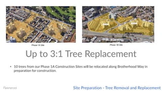 Site Preparation - Tree Removal and Replacement
Up to 3:1 Tree Replacement
• 10 trees from our Phase 1A Construction Sites will be relocated along Brotherhood Way in
preparation for construction.
Phase 1A Site Phase 1B Site
 