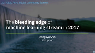 The bleeding edge of
machine learning stream in 2017
Jeongkyu Shin
Lablup Inc.
20170520 APAC ML/DS Community Summit
 