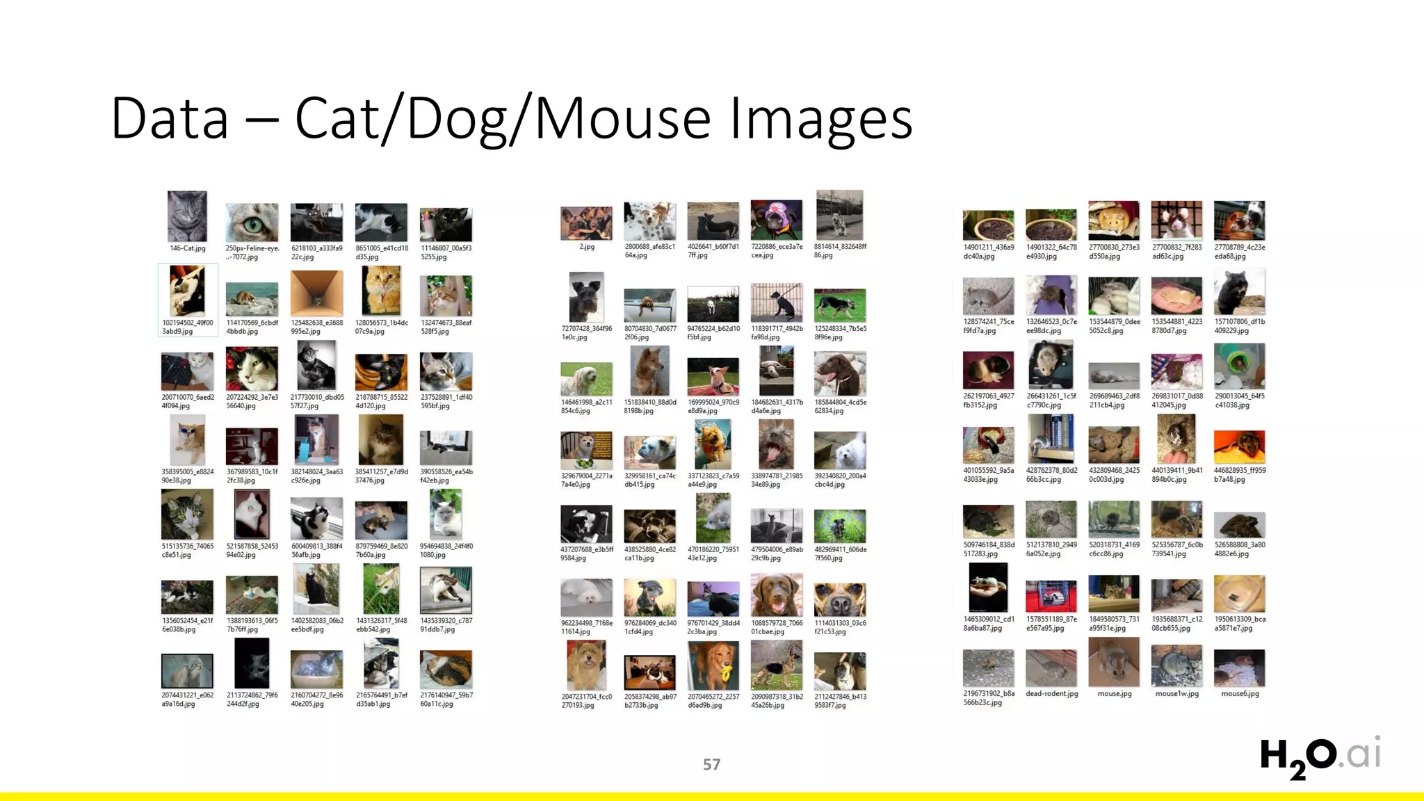 Data – Cat/Dog/Mouse Images
57
 