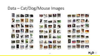 Data – Cat/Dog/Mouse Images
57
 
