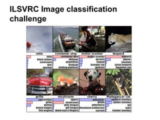 ILSVRC Image classification
challenge
 