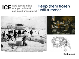 were packed in salt,
wrapped in ﬂannel,
and stored underground.
keep them frozen
until summer
Icehouses
ICE
 