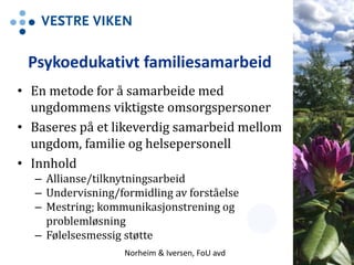Psykoedukativt familiesamarbeid
• En metode for å samarbeide med
ungdommens viktigste omsorgspersoner
• Baseres på et likeverdig samarbeid mellom
ungdom, familie og helsepersonell
• Innhold
– Allianse/tilknytningsarbeid
– Undervisning/formidling av forståelse
– Mestring; kommunikasjonstrening og
problemløsning
– Følelsesmessig støtte
5Norheim & Iversen, FoU avd
 