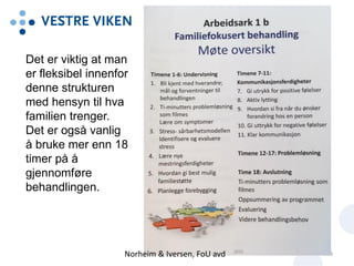 9
Det er viktig at man
er fleksibel innenfor
denne strukturen
med hensyn til hva
familien trenger.
Det er også vanlig
å bruke mer enn 18
timer på å
gjennomføre
behandlingen.
Norheim & Iversen, FoU avd
 