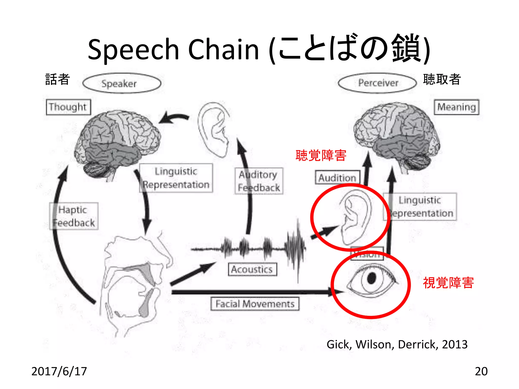 Speech Chain (ことばの鎖)
2017/6/17 20
話者 聴取者
Gick, Wilson, Derrick, 2013
聴覚障害
視覚障害
 