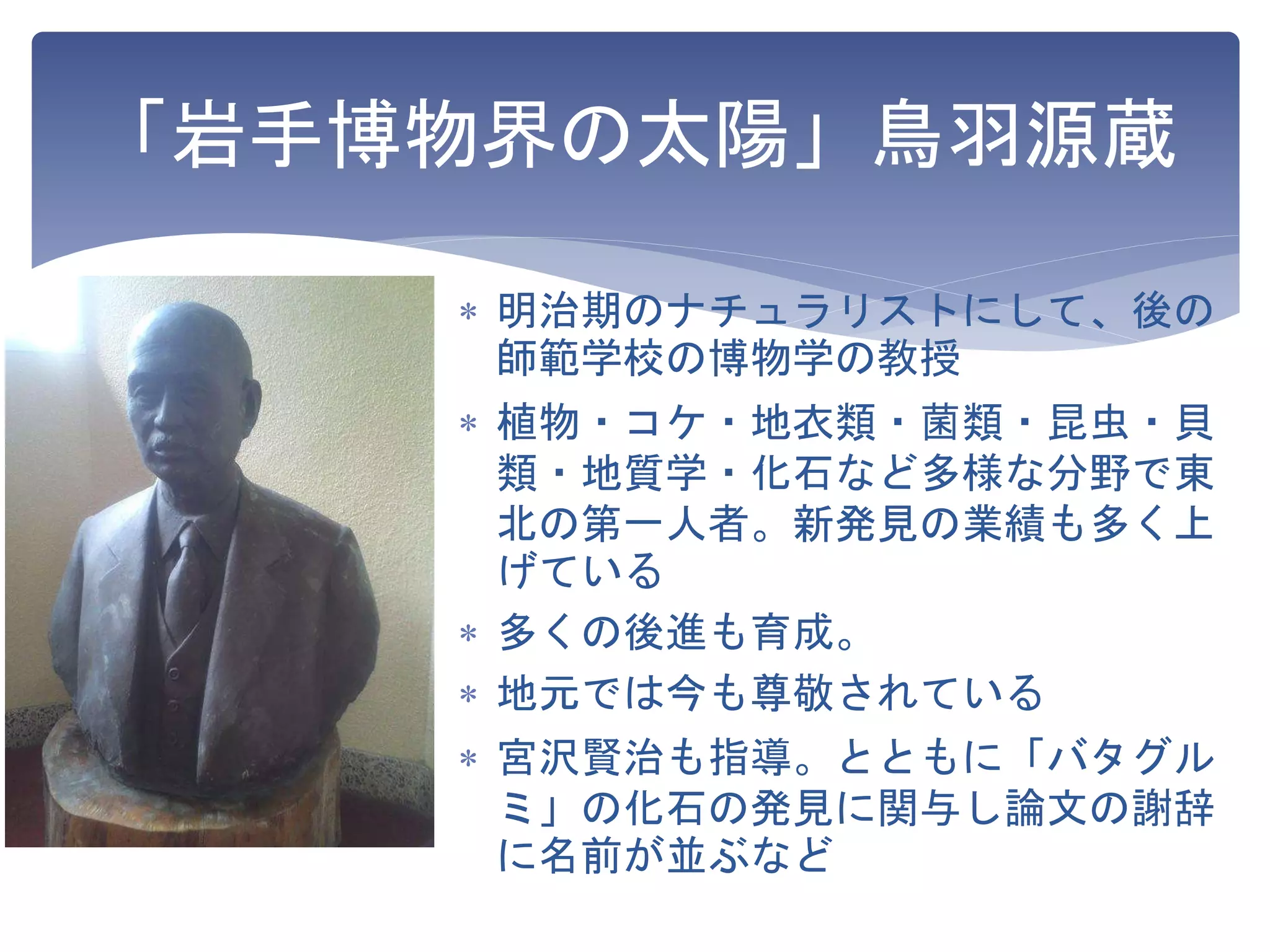 「岩手博物界の太陽」鳥羽源蔵
 明治期のナチュラリストにして、後の
師範学校の博物学の教授
 植物・コケ・地衣類・菌類・昆虫・貝
類・地質学・化石など多様な分野で東
北の第一人者。新発見の業績も多く上
げている
 多くの後進も育成。
 地元では今も尊敬されている
 宮沢賢治も指導。とともに「バタグル
ミ」の化石の発見に関与し論文の謝辞
に名前が並ぶなど
 