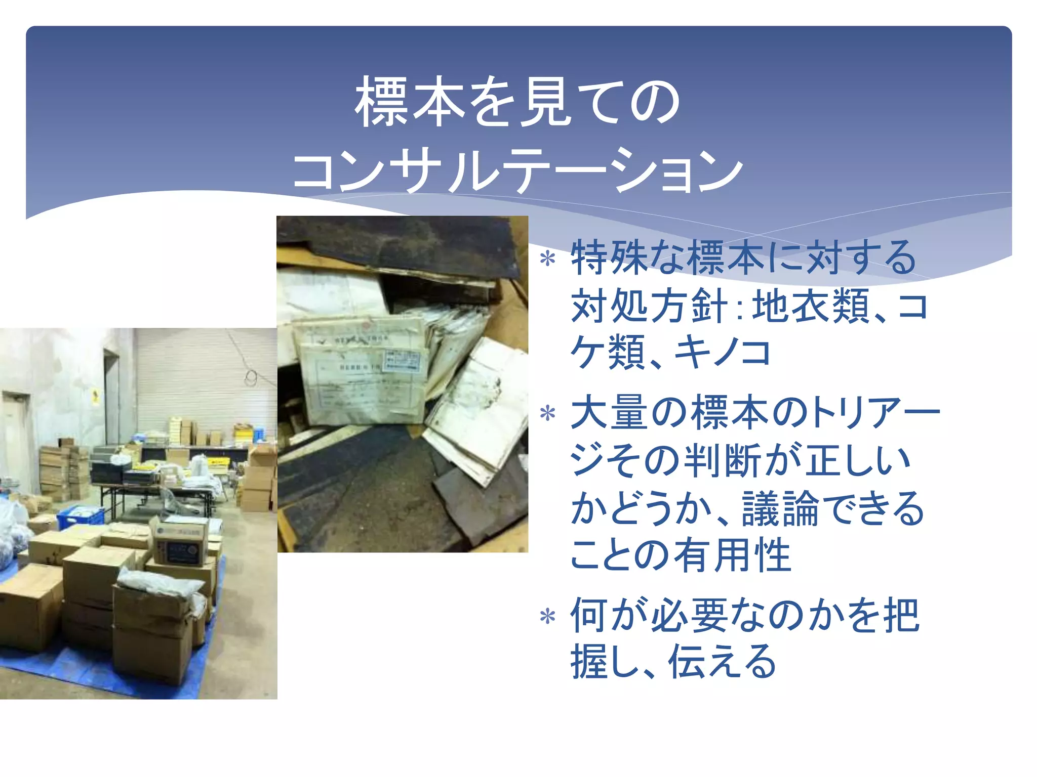 標本を見ての
コンサルテーション
 特殊な標本に対する
対処方針：地衣類、コ
ケ類、キノコ
 大量の標本のトリアー
ジその判断が正しい
かどうか、議論できる
ことの有用性
 何が必要なのかを把
握し、伝える
 
