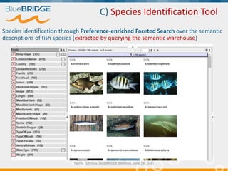 C) Species Identification Tool
Species identification through Preference-enriched Faceted Search over the semantic
descrip...
