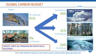 GLOBAL CARBON BUDGET
31%
11.6 GtCO2/yr
Source: CDIAC; NOAA-ESRL; Houghton et al 2012; Giglio et al 2013; Le Quéré et al 20...