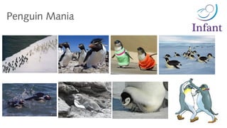 Penguin Mania
 