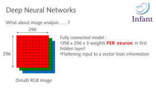 Deep Neural Networks
256
256
(Small) RGB image
Fully connected model :
•256 x 256 x 3 weights PER neuron in first
hidden layer!
•Flattening input to a vector loses information
What about image analysis……?
 