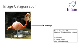 Image Categorisation
flamingo
Source : ImageNet 2011
(Large Scale Visual Recognition Challenge)
Training data:
1.2 million images
1000 image categories
 