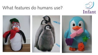 What features do humans use?
 