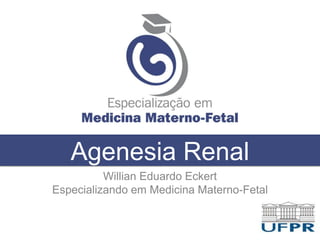 Agenesia Renal
Willian Eduardo Eckert
Especializando em Medicina Materno-Fetal
 