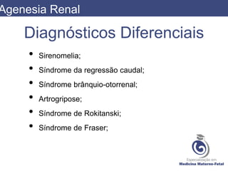 Diagnósticos Diferenciais
• Sirenomelia;
• Síndrome da regressão caudal;
• Síndrome brânquio-otorrenal;
• Artrogripose;
• Síndrome de Rokitanski;
• Síndrome de Fraser;
Agenesia Renal
 