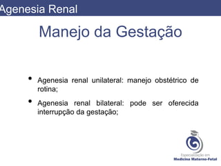 Manejo da Gestação
• Agenesia renal unilateral: manejo obstétrico de
rotina;
• Agenesia renal bilateral: pode ser oferecida
interrupção da gestação;
Agenesia Renal
 