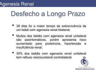 Desfecho a Longo Prazo
• 39 dias foi o maior tempo de sobrevivência de
um bebê com agenesia renal bilateral;
• Muitos dos bebês com agenesia renal unilateral
são assintomáticos, porém apresenta risco
aumentado para proteinúria, hipertensão e
insuficiência renal;
• 30% dos bebês com agenesia renal unilateral
tem refluxo vesicoureteral contralateral;
Agenesia Renal
 