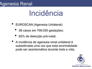 Incidência
• EUROSCAN (Agenesia Unilateral):
• 58 casos em 709.030 gestações;
• 62% de detecção pré-natal;
• A incidência de agenesia renal unilateral é
subestimada uma vez que esta anormalidade
pode ser assintomática durante toda a vida;
Agenesia Renal
 