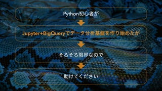  
Python
 
 
 
Jupyter+BigQuery
 