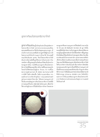 รายงานประจำ�ปี 2559
35
ลูกตาเทียมไฮดรอกซีอาปาไทต์
ลูกตาเทียมที่ใช้อยู่ในปัจจุบันส่วนใหญ่ผลิตจาก
ไฮดรอกซีอาปาไทต์ (สารประกอบของแคลเซียม
ฟอสเฟตที่นิยมนำ�มาใช้เป็นวัสดุทดแทนกระดูก) ที่
นำ�เข้าจากต่างประเทศซึ่งมีราคาสูงทำ�ให้ผู้ป่วยยากไร้
ไม่สามารถเข้าถึงบริการและการรักษาได้ ด้วยเหตุนี้
คณะวิจัยเอ็มเทค สวทช. จึงนำ�ไฮดรอกซีอาปาไทต์
สังเคราะห์มาผลิตขึ้นรูปใช้เองภายในประเทศ ด้วย
เทคนิคการขึ้นรูปพรุนด้วยโพลีเมอร์โฟมเป็นโครงร่าง
ของลูกตาเทียม จนได้ต้นแบบลูกตาเทียมไฮดรอก
ซีอาปาไทต์ที่มีคุณสมบัติทางชีวภาพที่ดีและปลอดภัย
โดยนำ�ไปใช้ทดสอบในผู้ป่วย จำ�นวน 10 รายที่โรง
พยาบาลจุฬาลงกรณ์ (ปี 2554) พบว่าสามารถใช้
การได้ดี ไม่มีการติดเชื้อ ไม่มีภาวะแทรกซ้อน จาก
ผลดังกล่าวภาควิชาจักษุวิทยา คณะแพทยศาสตร์
จุฬาลงกรณ์มหาวิทยาลัย ได้ขอความอนุเคราะห์
ให้เอ็มเทคผลิตลูกตาเทียมไฮดรอกซีอาปาไทต์ที่มี
ความพรุนตัวในช่วง 300-500 ไมโครเมตร เพื่อนำ�ไป
ใช้งานกับผู้ป่วยยากไร้ไม่มีเงินในการรักษา โดยขนาด
ของลูกตาที่ขอความอนุเคราะห์ให้ผลิตมี 3 ขนาด คือ
16 18 และ 20 มิลลิเมตร ขนาดละ 25 ลูก ดังนั้น
คณะผู้วิจัยจึงดำ�เนินการปรับปรุงลูกตาเทียมจนได้ขนาด
ของรูพรุนอยู่ในช่วงดังกล่าวโดยใช้เทคนิคการขึ้นรูปพรุน
ด้วยโพลีเมอร์โฟมเป็นโครงร่างของลูกตาเทียมโดยเพิ่ม
สารเติมแต่งไบโอกลาสเซรามิก และสารลดแรงตึงผิว
เพื่อช่วยเพิ่มความแข็งแรงและเพิ่มความพรุนตัวของ
วัสดุ คณะวิจัยได้ส่งมอบลูกตาเทียมไฮดรอกซีอาปาไทต์
ให้กับภาควิชาฯ เรียบร้อยแล้ว ซึ่งภาควิชาฯ มีหนังสือ
ขอบคุณและแจ้งว่าลูกตาเทียมที่ได้รับความอนุเคราะห์
นั้นมีลักษณะและคุณสมบัติเช่นเดียวกับลูกตาเทียม
ที่ทำ�จากปะการังที่ผลิตและจำ�หน่ายโดยบริษัทต่างชาติ
ซึ่งมีราคาสูง (ประมาณ 30,000 บาท) จึงถือได้ว่า
ผลจากการวิจัยและพัฒนาลูกตาเทียมไฮดรอกซี-
อาปาไทต์สามารถช่วยทดแทนวัสดุทางการแพทย์
ได้เป็นอย่างดี
 