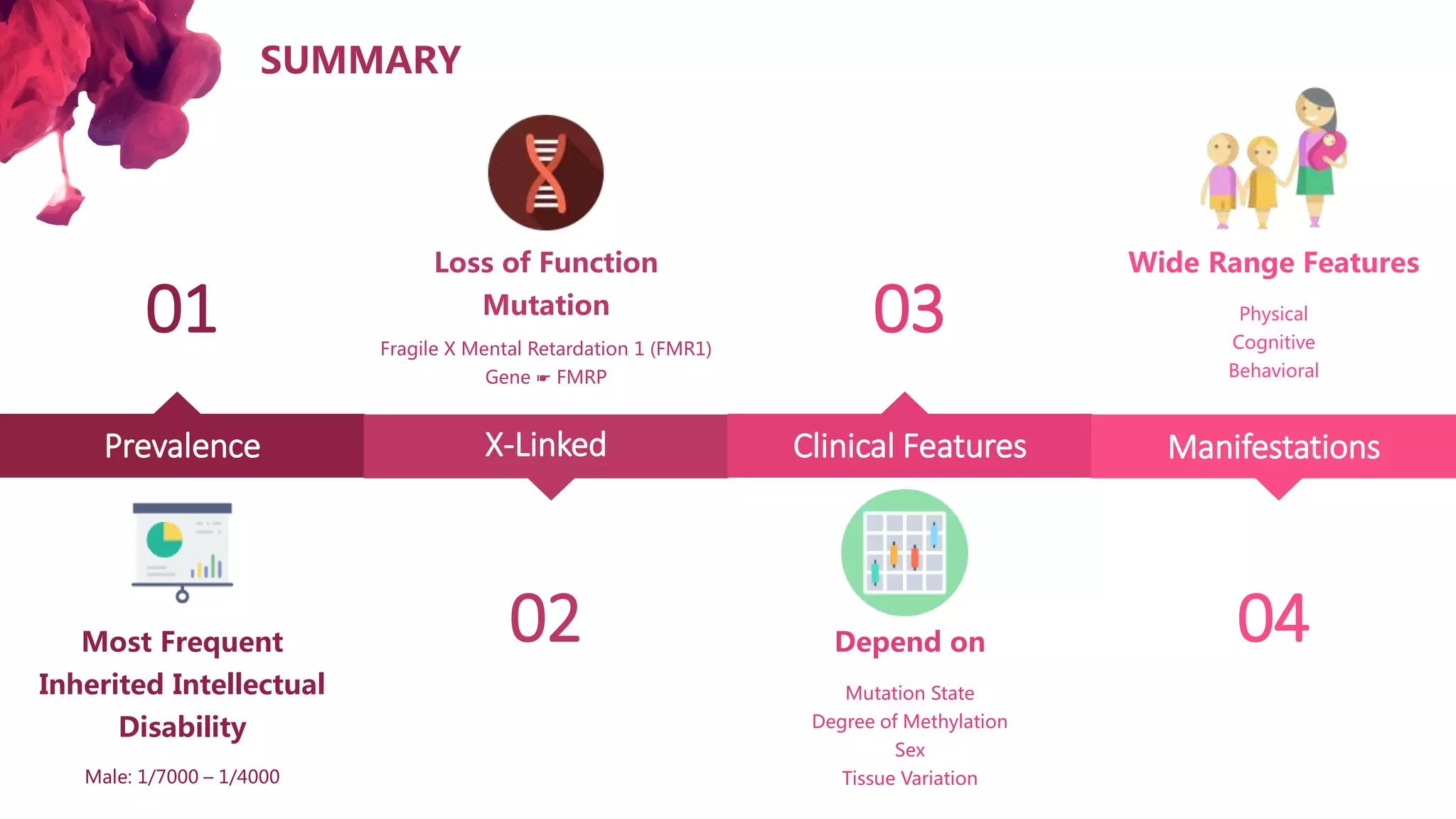 SUMMARY
Prevalence
01
Male: 1/7000 – 1/4000
Most Frequent
Inherited Intellectual
Disability
X-Linked
02
Fragile X Mental Retardation 1 (FMR1)
Gene ☛ FMRP
Loss of Function
Mutation
Clinical Features
03
Mutation State
Degree of Methylation
Sex
Tissue Variation
Depend on
Manifestations
04
Physical
Cognitive
Behavioral
Wide Range Features
 