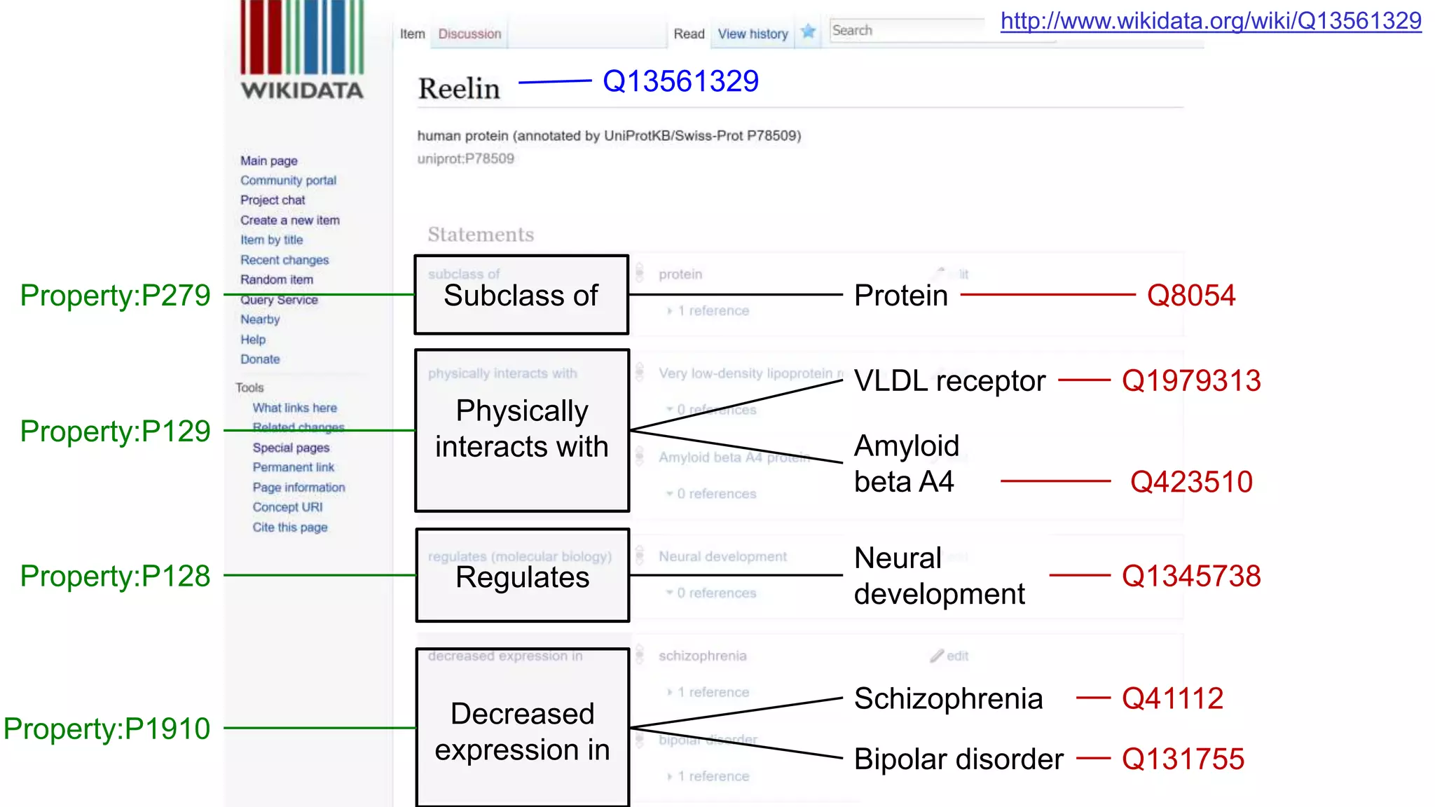 Subclass of
Regulates
Physically
interacts with
Protein
Neural
development
Property:P279
Property:P128
Property:P129
Q8054
Q1345738
VLDL receptor Q1979313
Amyloid
beta A4 Q423510
Q13561329
http://www.wikidata.org/wiki/Q13561329
Decreased
expression in
Property:P1910
Schizophrenia Q41112
Bipolar disorder Q131755
 