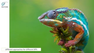 different approaches for different WPs
 