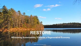 Walden Pond, Concord (MA, USA)
 