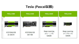 23
Tesla (Pascalǰ)
 