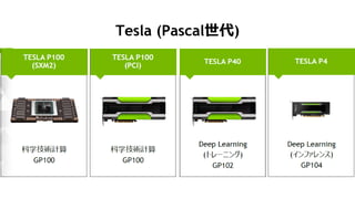 24
Tesla (Pascal)
 