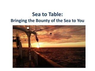 Sea to Table:
Bringing the Bounty of the Sea to You
 