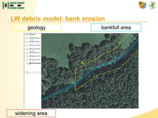 LW debris model: bank erosion
geology bankfull area
widening area
 