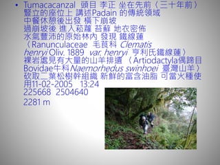 • Tumacacanzal 頭目 李正 坐在先前〈三十年前〉
豎立的座位上 講述Padain 的傳統領域
中餐休憩後出發 橫下崩坡
過崩坡後 進入菘蘿 苔蘚 地衣密佈
水氣豐沛的原始林內 發現 鐵線蓮
〈Ranunculaceae 毛茛科 Clematis
henryi Oliv. 1889 var. henryi 亨利氏鐵線蓮〉
裸岩處見有大量的山羊排遺 〈Artiodactyla偶蹄目
Bovidae牛科Naemorhedus swinhoei 臺灣山羊〉
砍取二葉松樹幹組織 新鮮的富含油脂 可當火種使
用11-02-2005 13:24
225668 2504640
2281 m
 