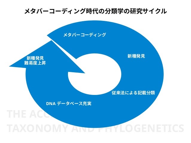 slideshare