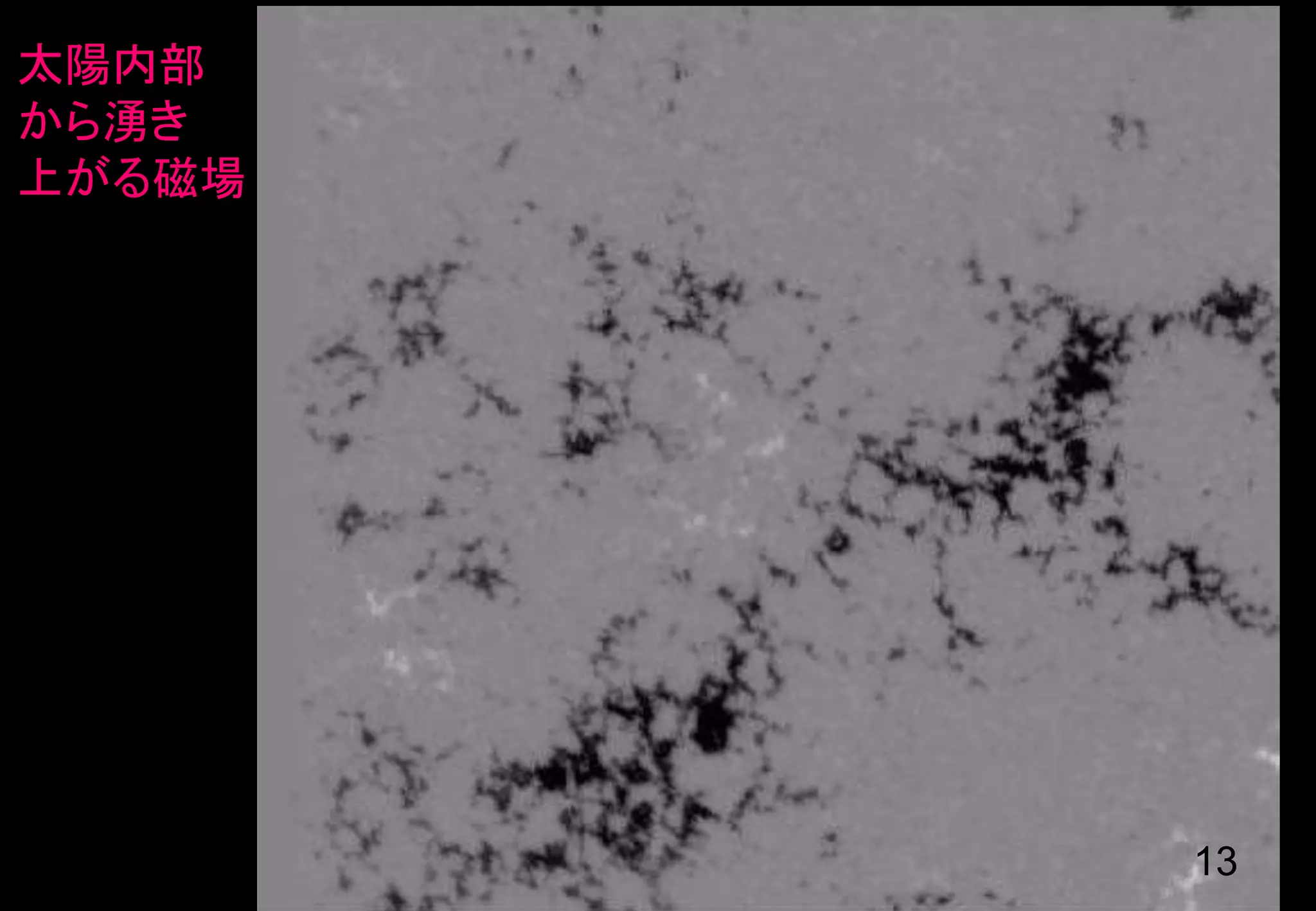 13
太陽内部
から湧き
上がる磁場
 
