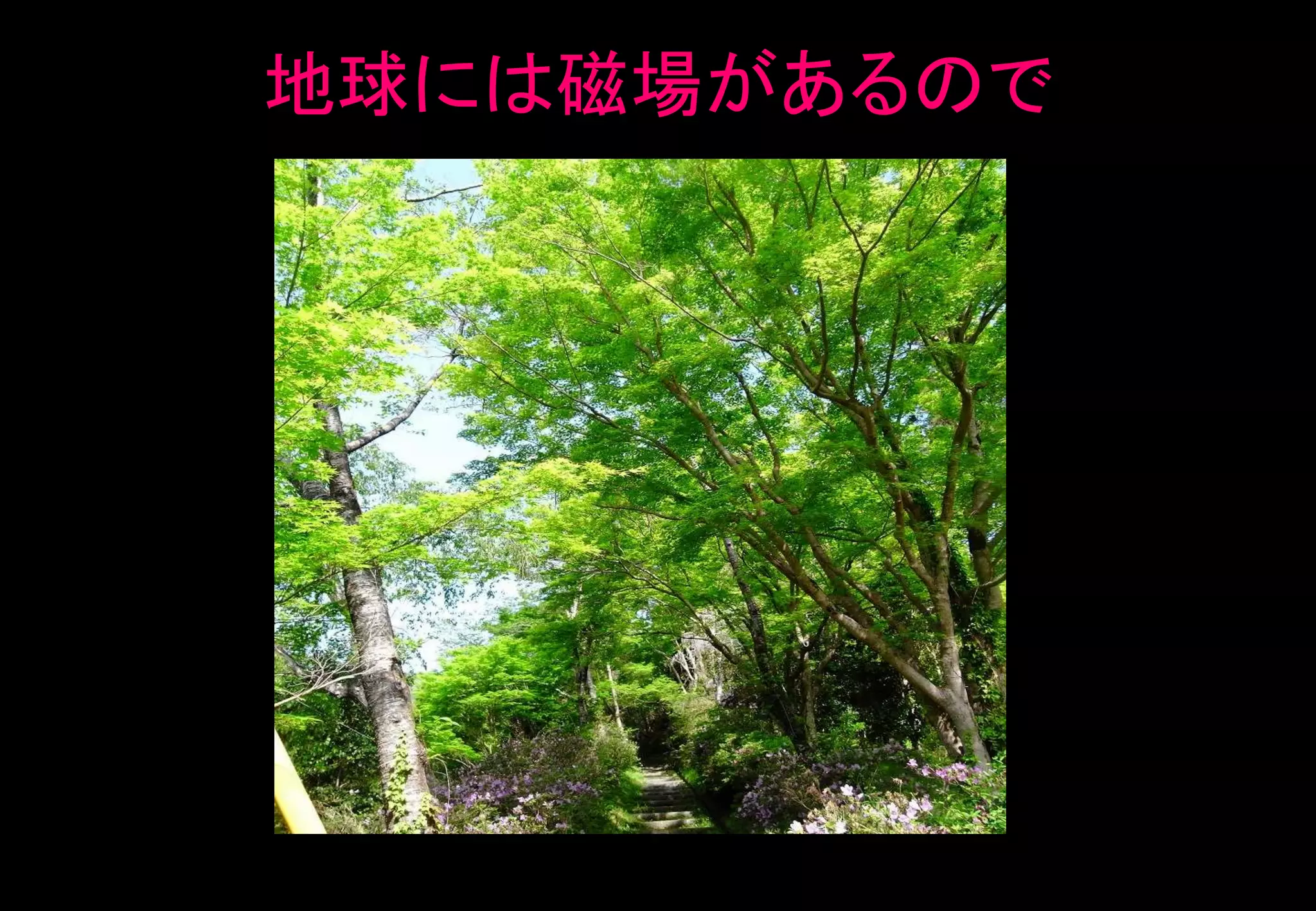 地球には磁場があるので
49
 