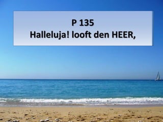 P 135
Halleluja! looft den HEER,
 