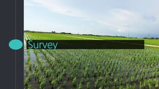 Survey
 