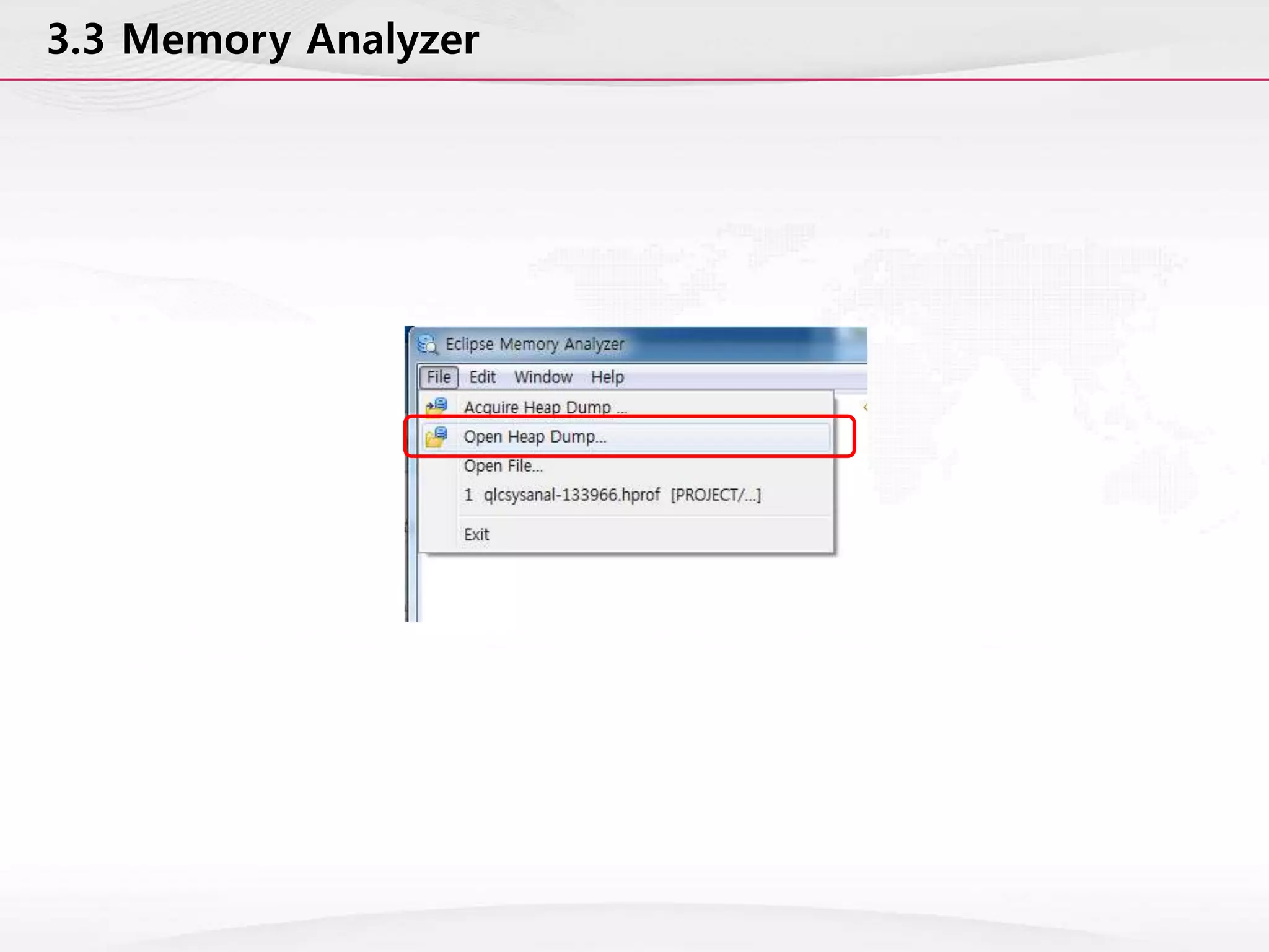 3.3 Memory Analyzer
 