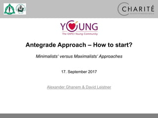 Alexander Ghanem & David Leistner
Antegrade Approach – How to start?
Minimalists‘ versus Maximalists‘ Approaches
17. September 2017
 