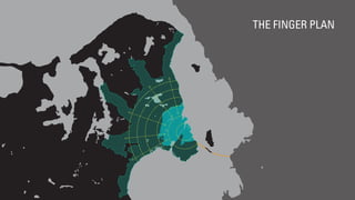 THE FINGER PLAN
 