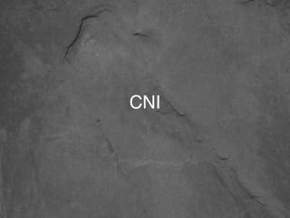 CNI
4
 
